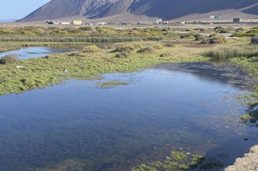 rio loa